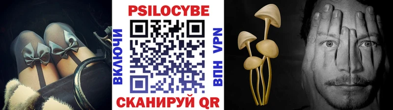 Псилоцибиновые грибы мицелий  Купить  Славск 