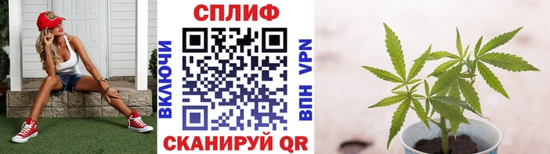 Купить закладки  Славск  Шишки марихуана индика 